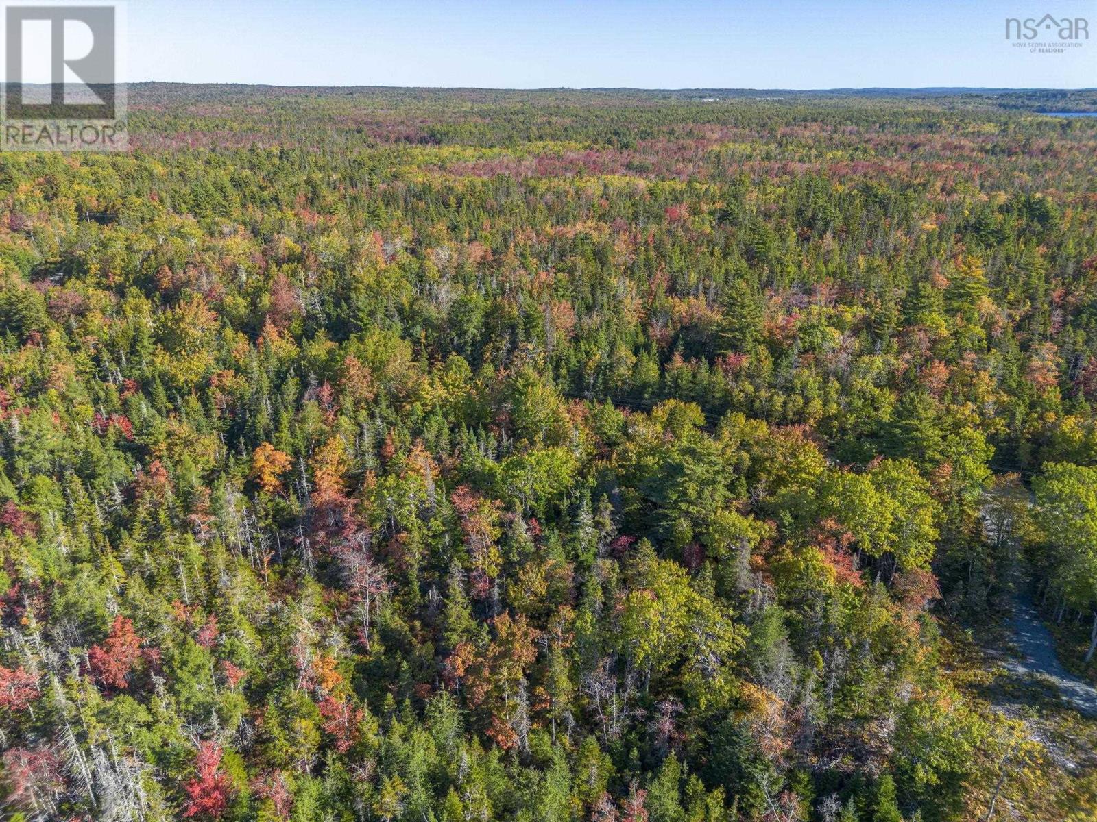 County Line Station Rd, East Port Medway, Nova Scotia  B0J 2H0 - Photo 13 - 202525790