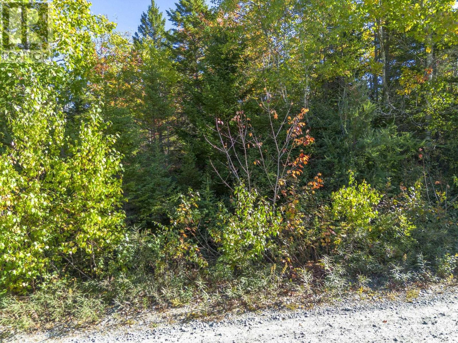 County Line Station Rd, East Port Medway, Nova Scotia  B0J 2H0 - Photo 22 - 202525790