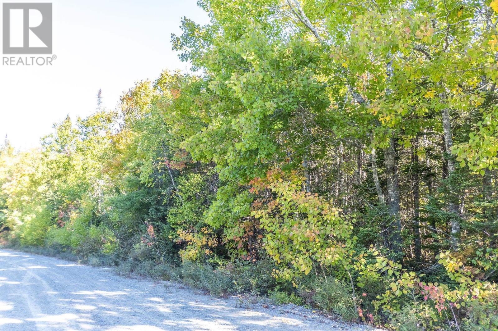 County Line Station Rd, East Port Medway, Nova Scotia  B0J 2H0 - Photo 26 - 202525790