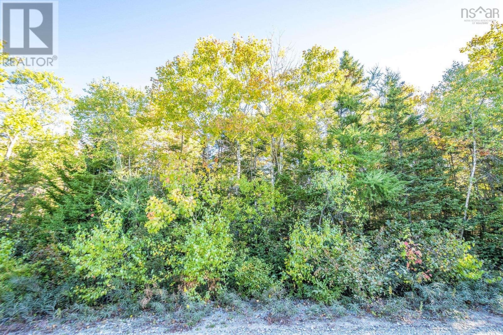 County Line Station Rd, East Port Medway, Nova Scotia  B0J 2H0 - Photo 27 - 202525790