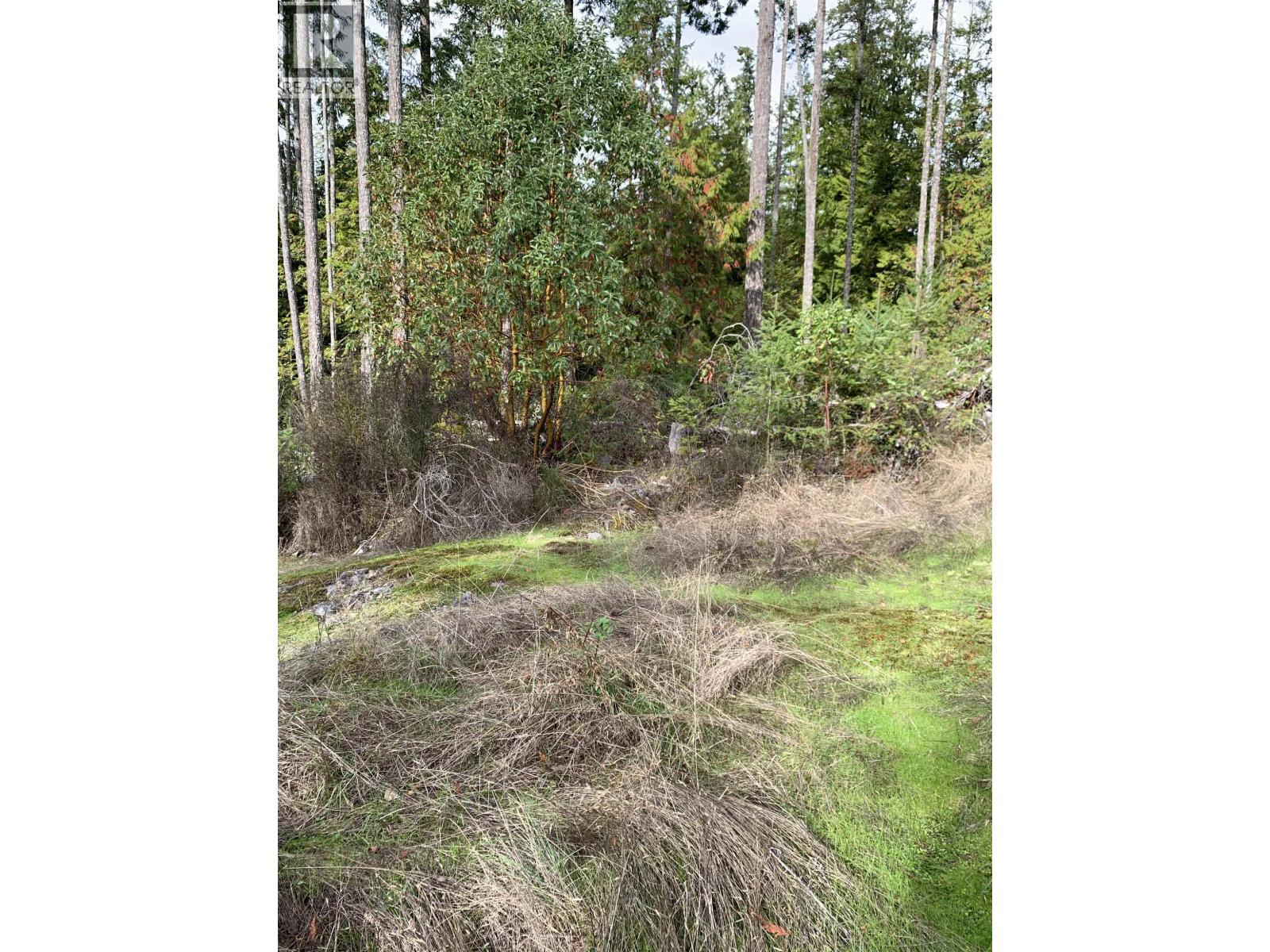 Lot 23 Sakinaw Drive, Garden Bay, British Columbia  V0N 1S1 - Photo 21 - R3058092