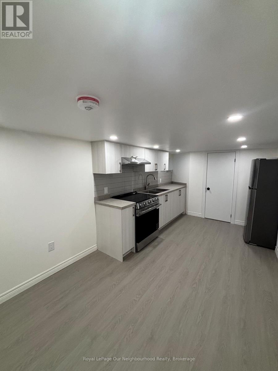 Basement - 18 Cherry Street, St. Catharines, Ontario  L2R 5M4 - Photo 4 - X12461325