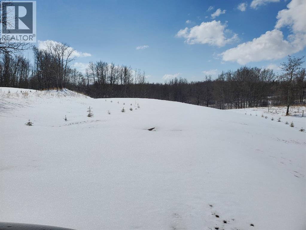 39 Bruhn Bend, Rural Ponoka County, Alberta  T0C 2J0 - Photo 25 - A2238846