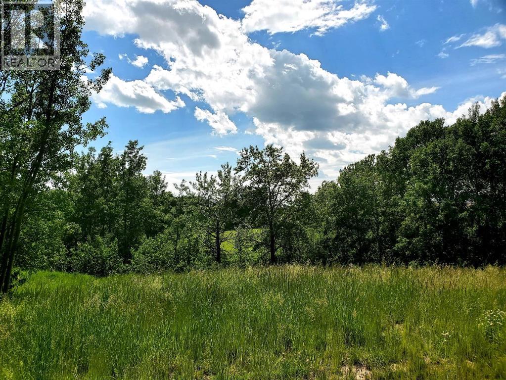 39 Bruhn Bend, Rural Ponoka County, Alberta  T0C 2J0 - Photo 24 - A2238846