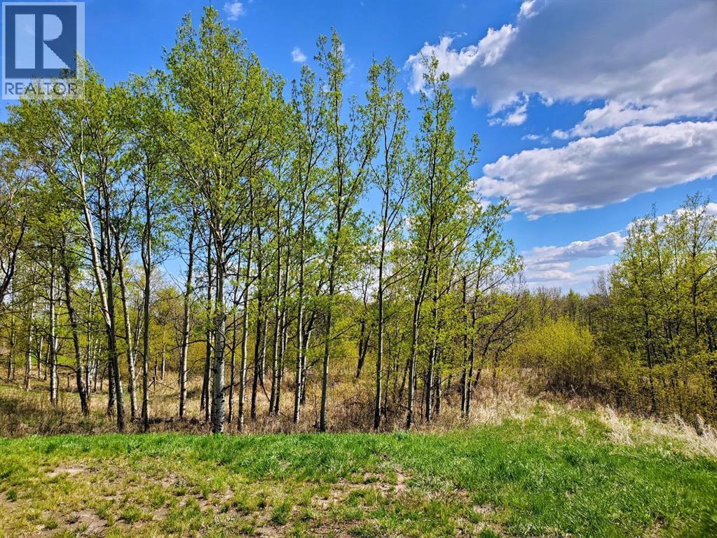 39 Bruhn Bend, Rural Ponoka County, Alberta  T0C 2J0 - Photo 23 - A2238846