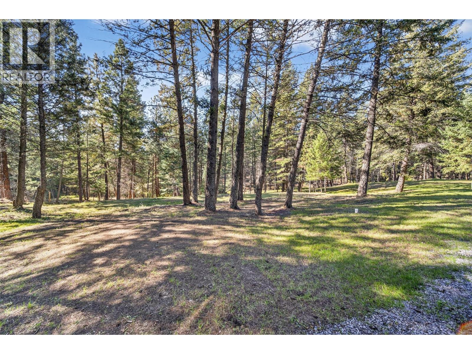 3306 Palmer Road, Baynes Lake, British Columbia  V0B 1T4 - Photo 64 - 10365727