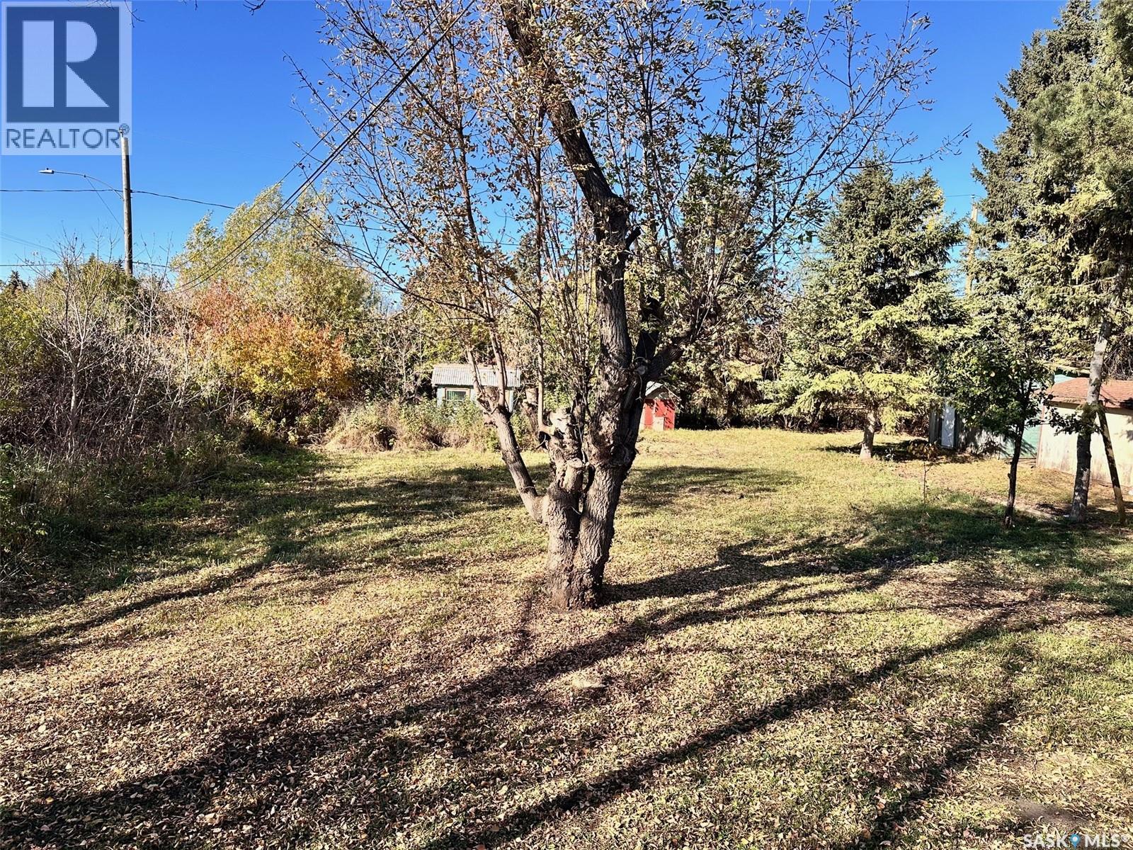 441 4th Street, Leoville, Saskatchewan  S0J 1N0 - Photo 13 - SK020801