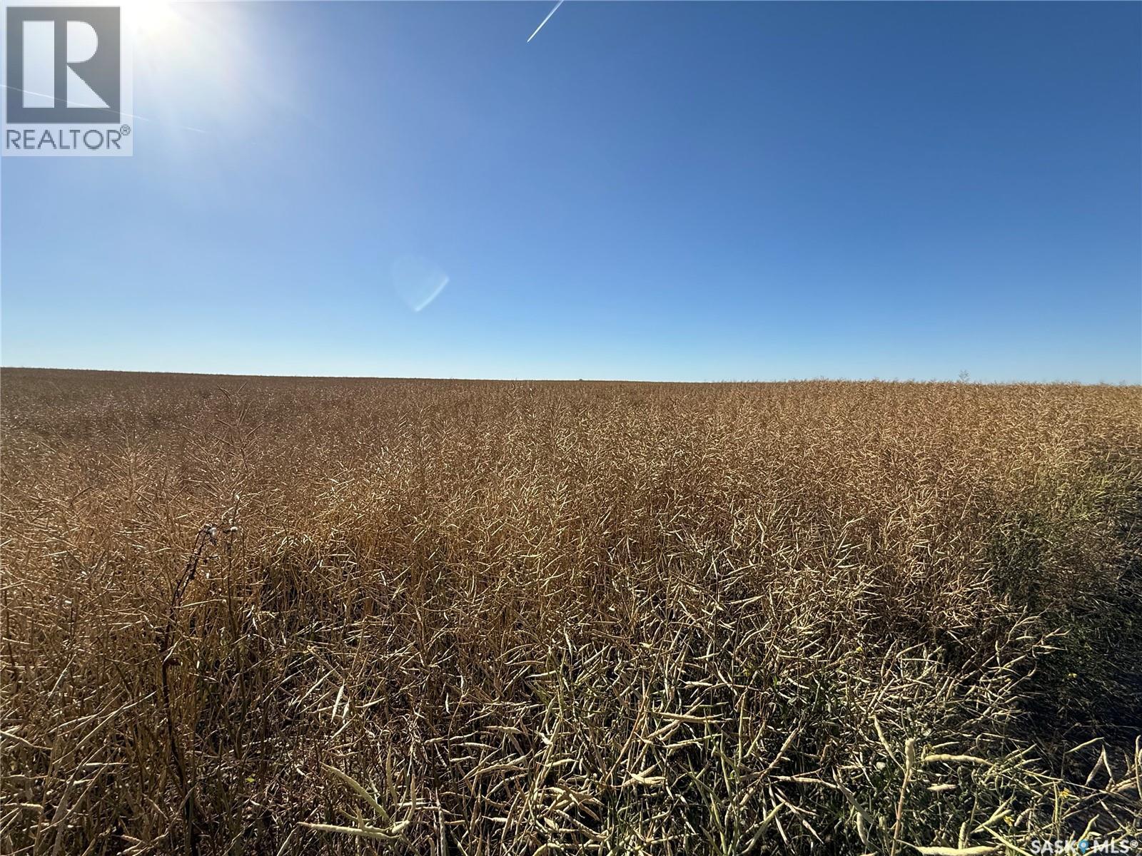 1720 Acres Farmland In Rm Browning, Lampman, Saskatchewan  S0C 1N0 - Photo 14 - SK020732