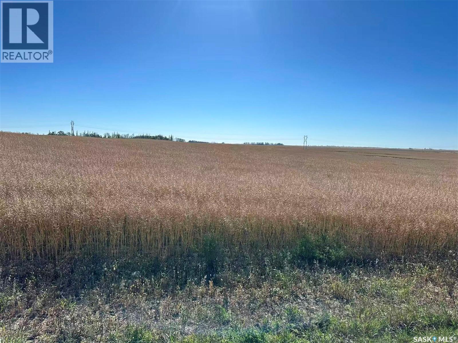1720 Acres Farmland In Rm Browning, Lampman, Saskatchewan  S0C 1N0 - Photo 15 - SK020732