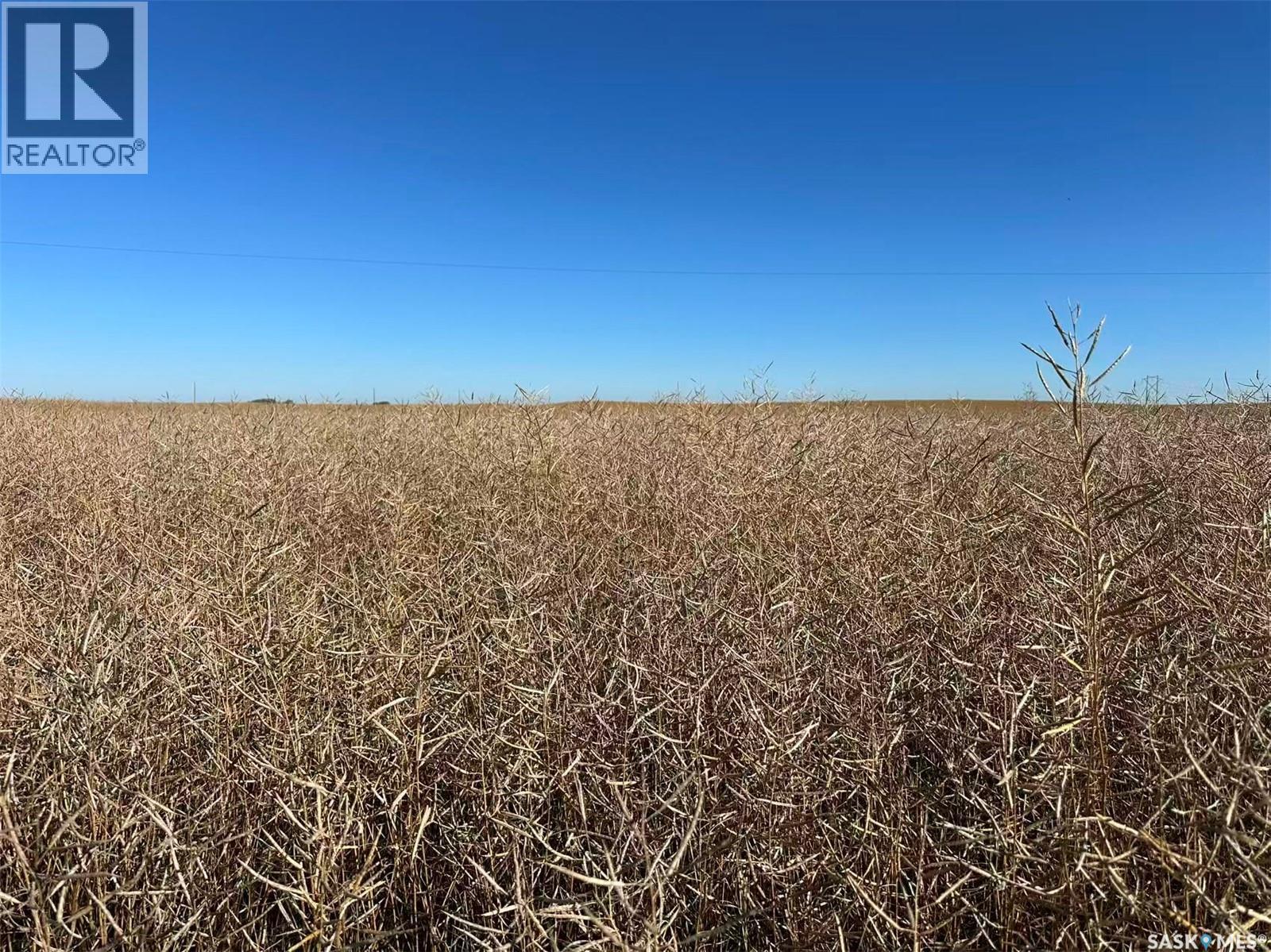 1720 Acres Farmland In Rm Browning, Lampman, Saskatchewan  S0C 1N0 - Photo 16 - SK020732