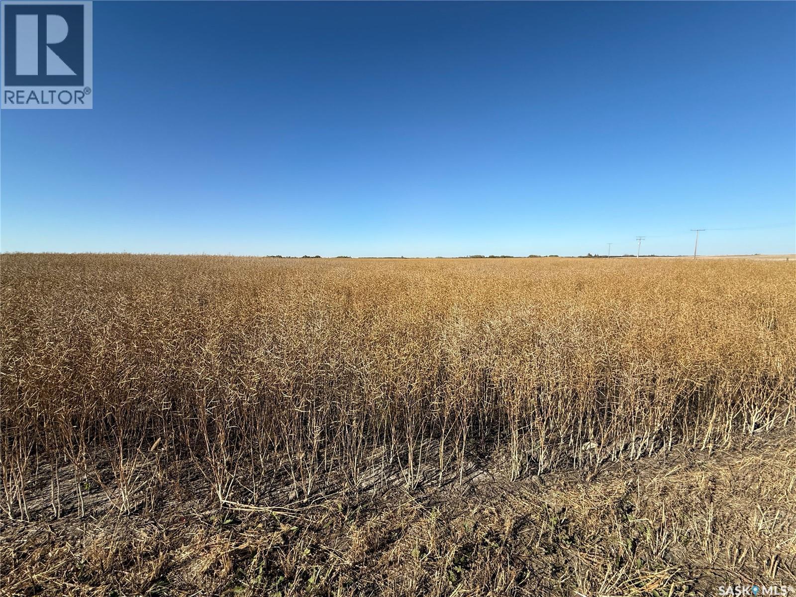 1720 Acres Farmland In Rm Browning, Lampman, Saskatchewan  S0C 1N0 - Photo 17 - SK020732