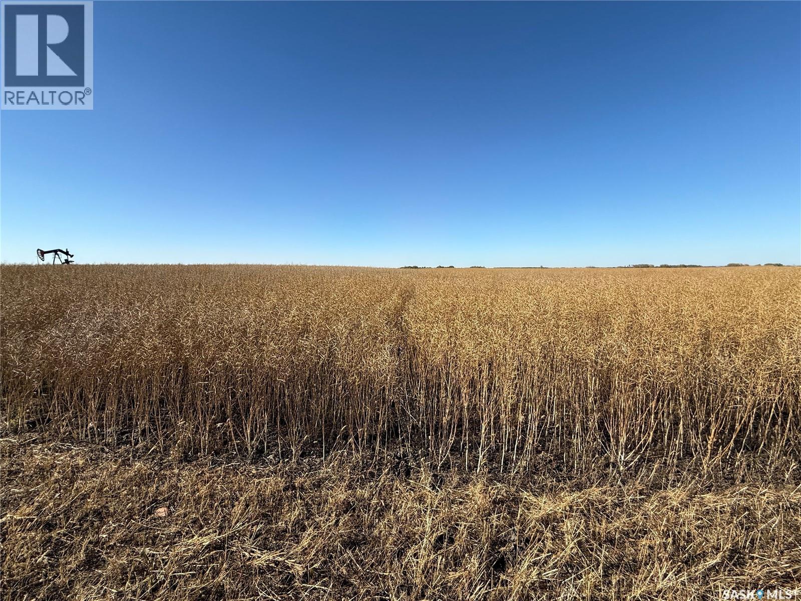 1720 Acres Farmland In Rm Browning, Lampman, Saskatchewan  S0C 1N0 - Photo 18 - SK020732