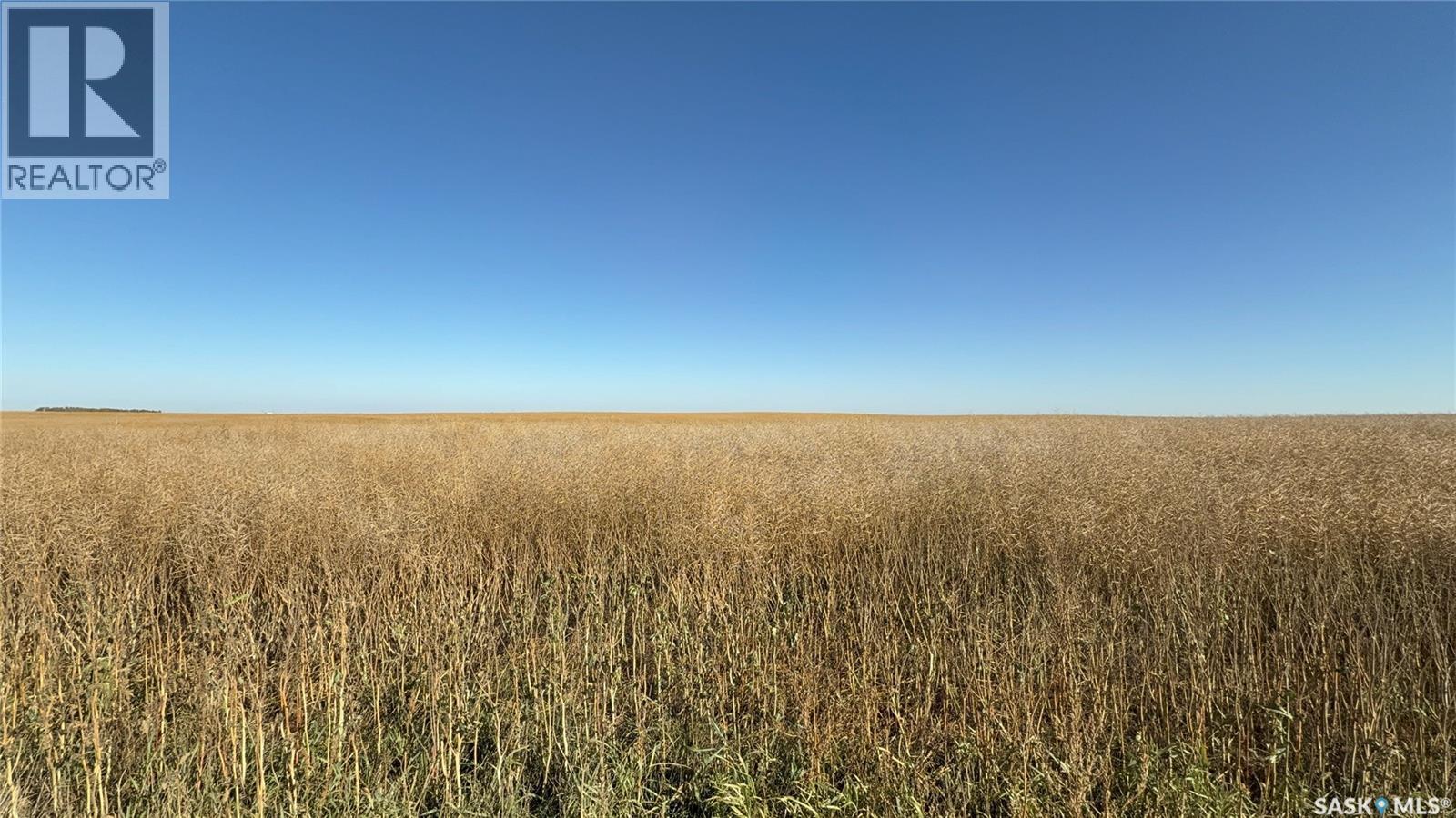 1720 Acres Farmland In Rm Browning, Lampman, Saskatchewan  S0C 1N0 - Photo 19 - SK020732