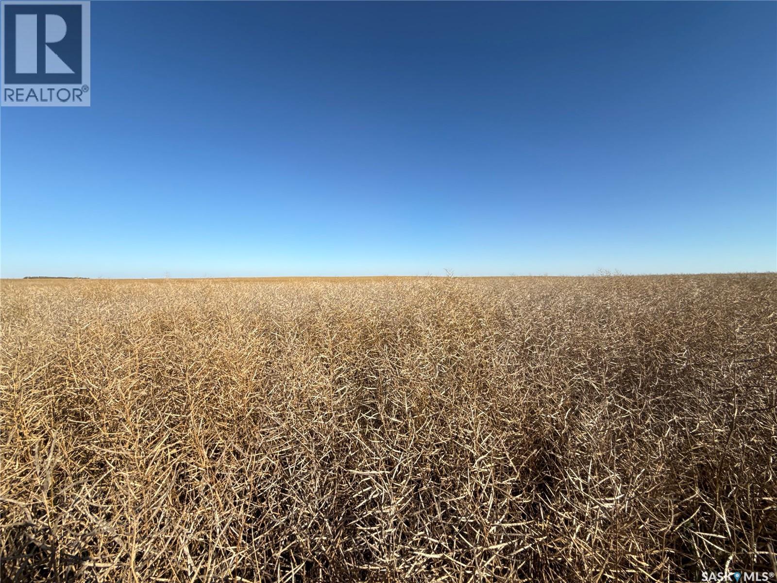 1720 Acres Farmland In Rm Browning, Lampman, Saskatchewan  S0C 1N0 - Photo 20 - SK020732