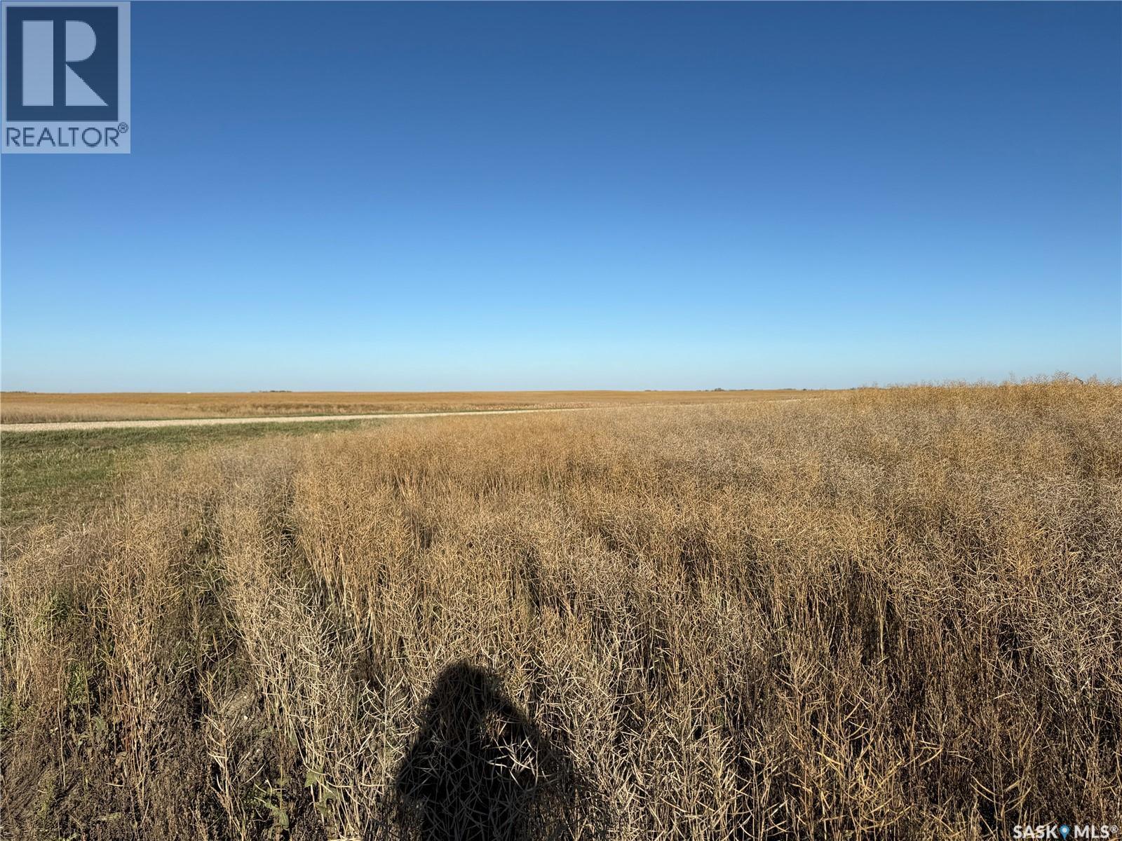 1720 Acres Farmland In Rm Browning, Lampman, Saskatchewan  S0C 1N0 - Photo 23 - SK020732
