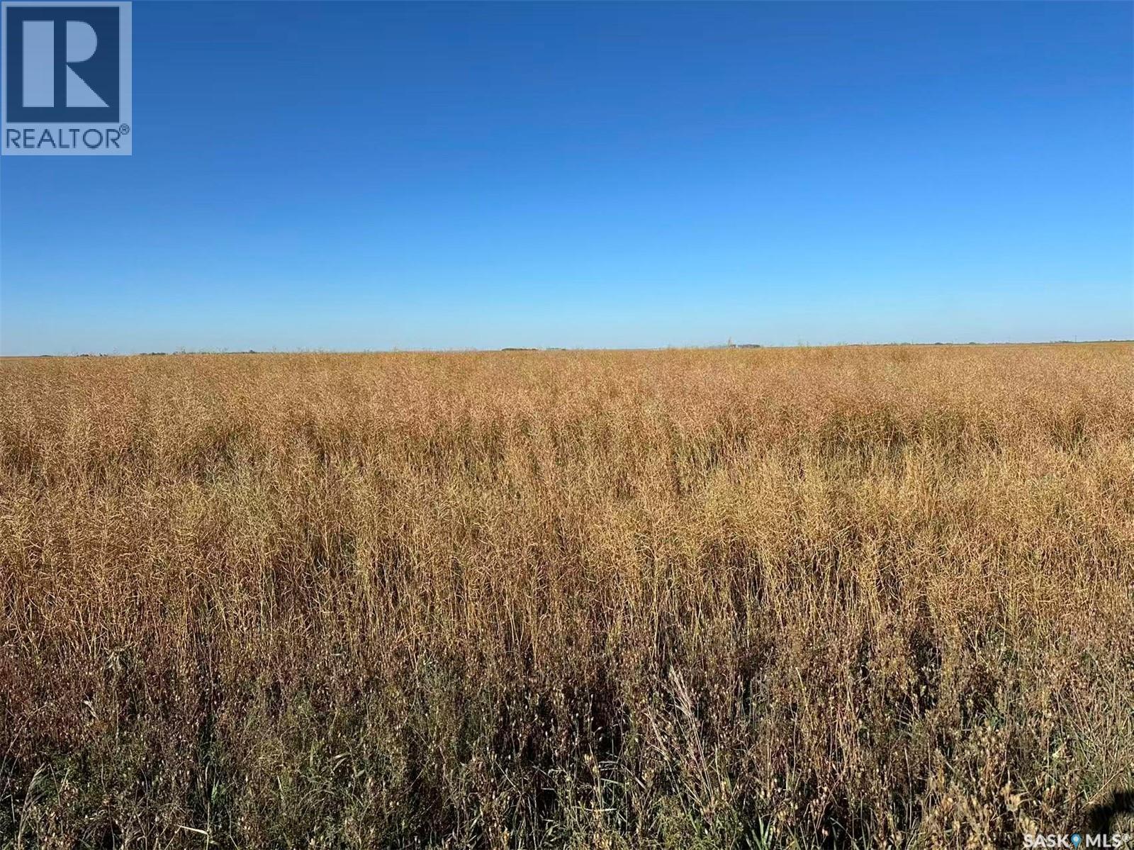 1720 Acres Farmland In Rm Browning, Lampman, Saskatchewan  S0C 1N0 - Photo 6 - SK020732