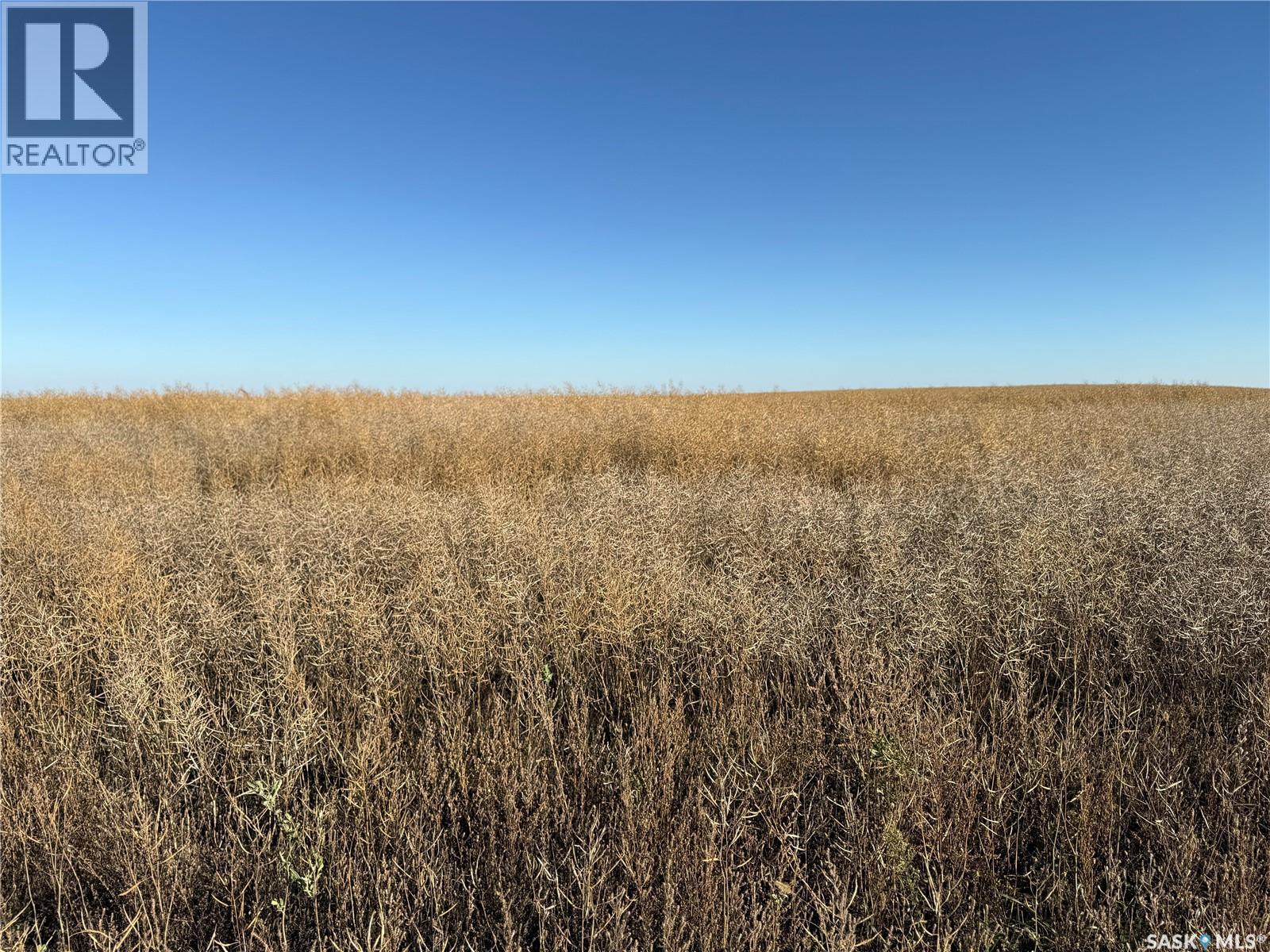 1720 Acres Farmland In Rm Browning, Lampman, Saskatchewan  S0C 1N0 - Photo 7 - SK020732