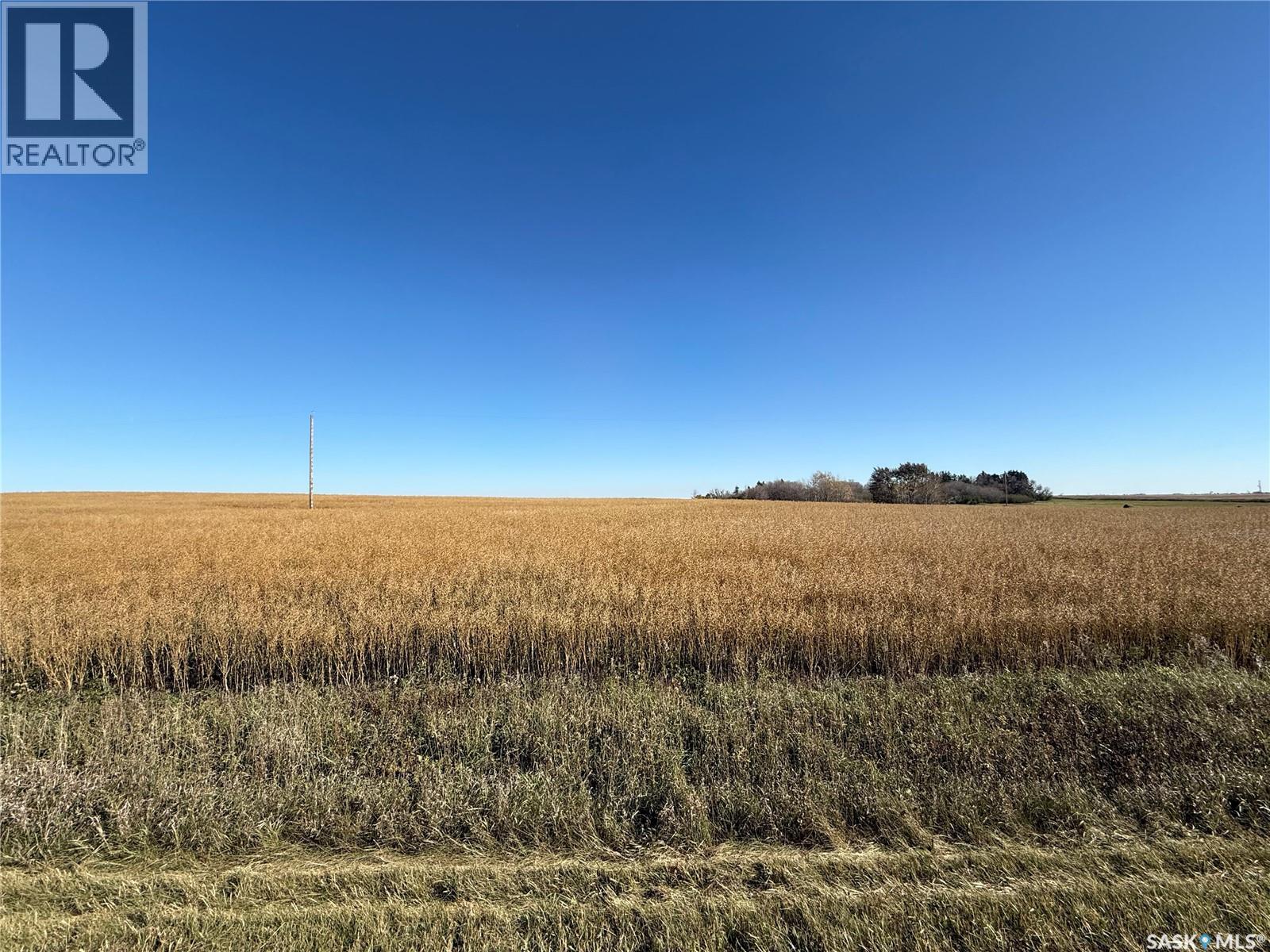 1720 Acres Farmland In Rm Browning, Lampman, Saskatchewan  S0C 1N0 - Photo 9 - SK020732