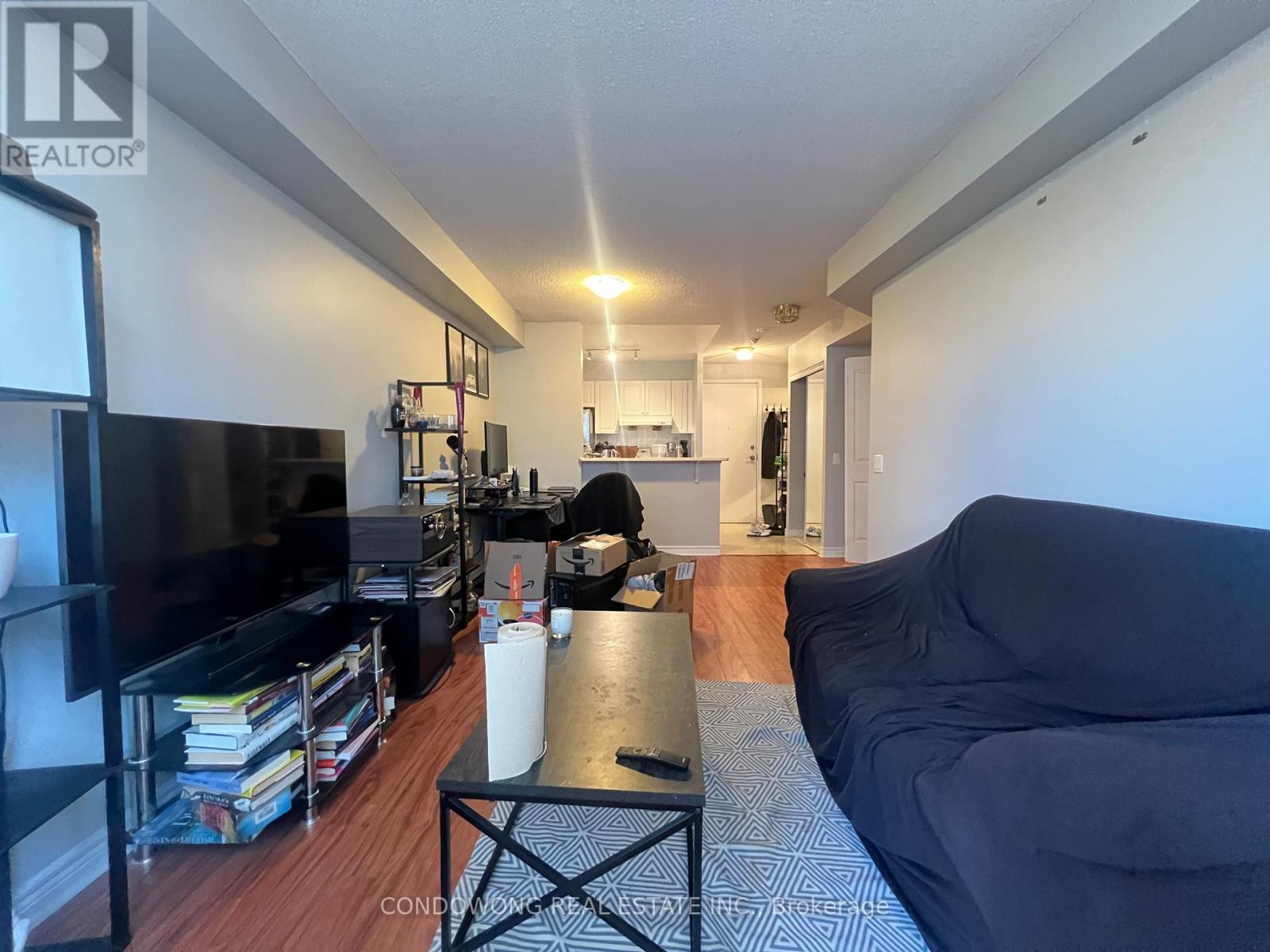 1006 - 152 St Patrick Street, Toronto, Ontario  M5T 3J9 - Photo 9 - C12461576