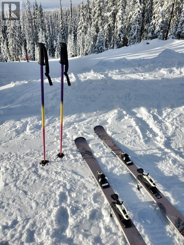 20 Kettle View Road Unit# 201 Big White Photo 33