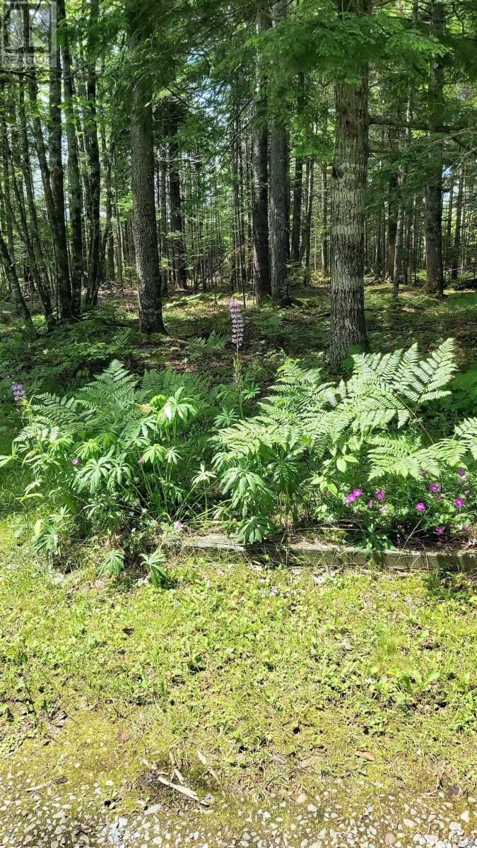 624 Salem Cross Road, Macphees Corner, Nova Scotia  B0N 2H0 - Photo 34 - 202525716