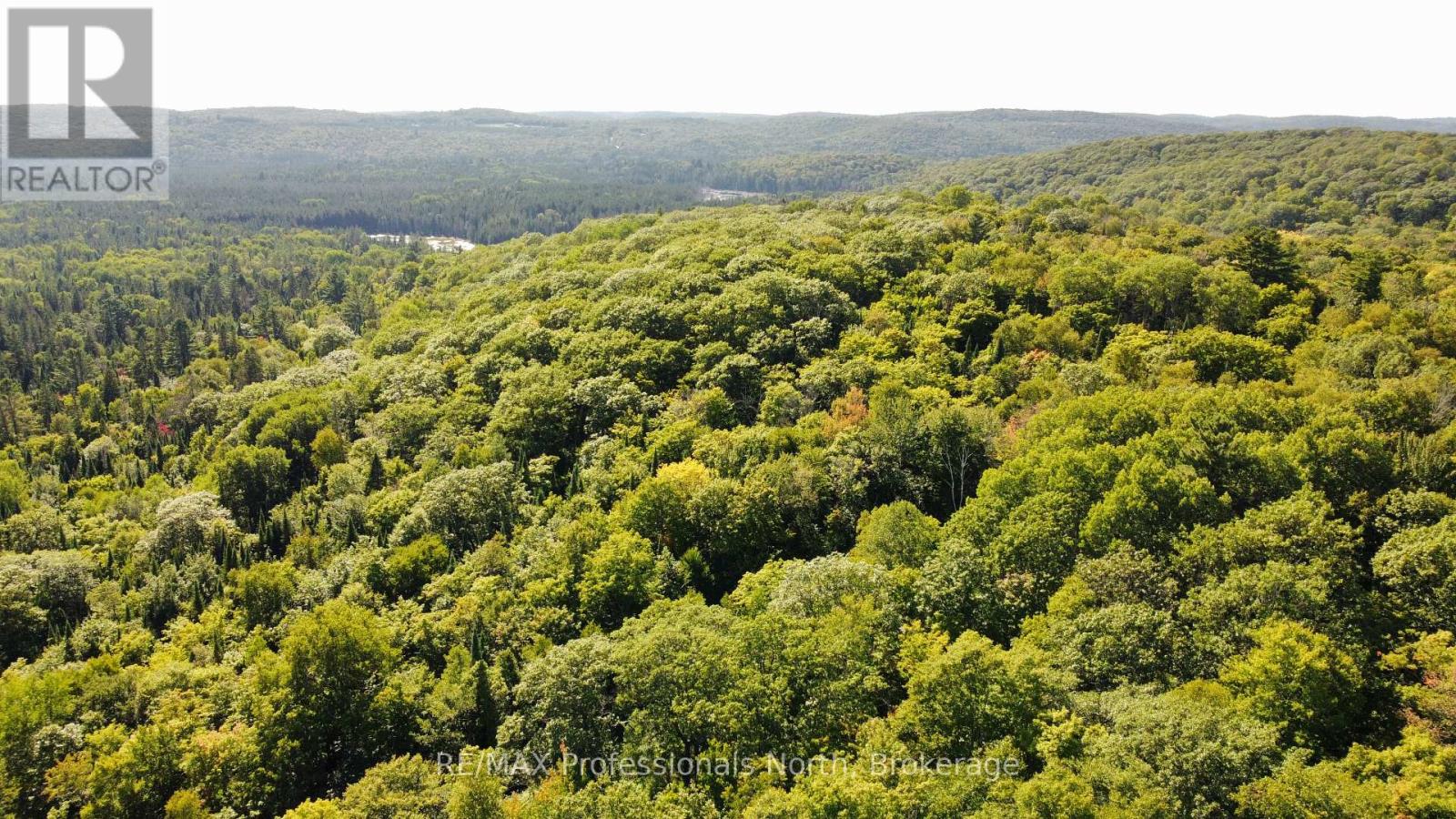 364 Forestry Tower Road, Kearney, Ontario  P0A 1M0 - Photo 48 - X12115126