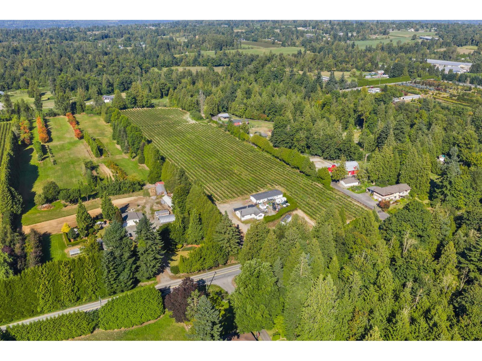 27911 56 Avenue, Abbotsford, British Columbia  V4X 1S5 - Photo 6 - R3049705