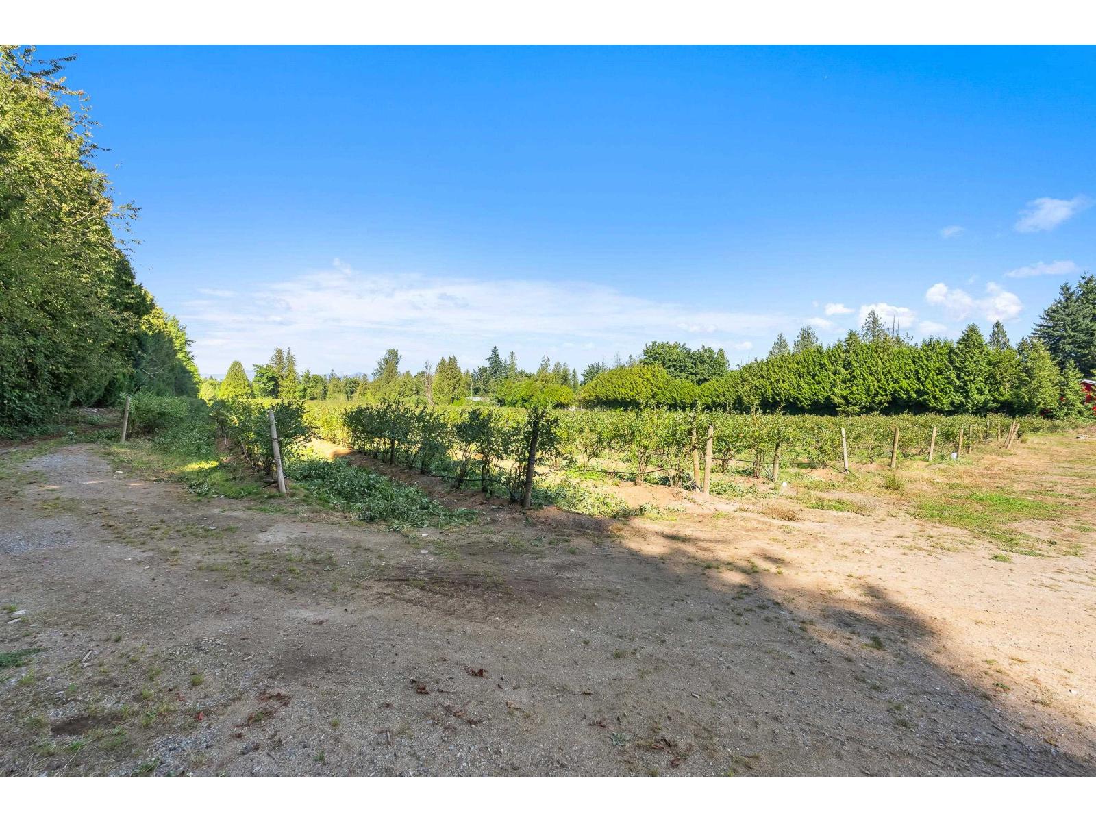 27911 56 Avenue, Abbotsford, British Columbia  V4X 1S5 - Photo 32 - R3049705
