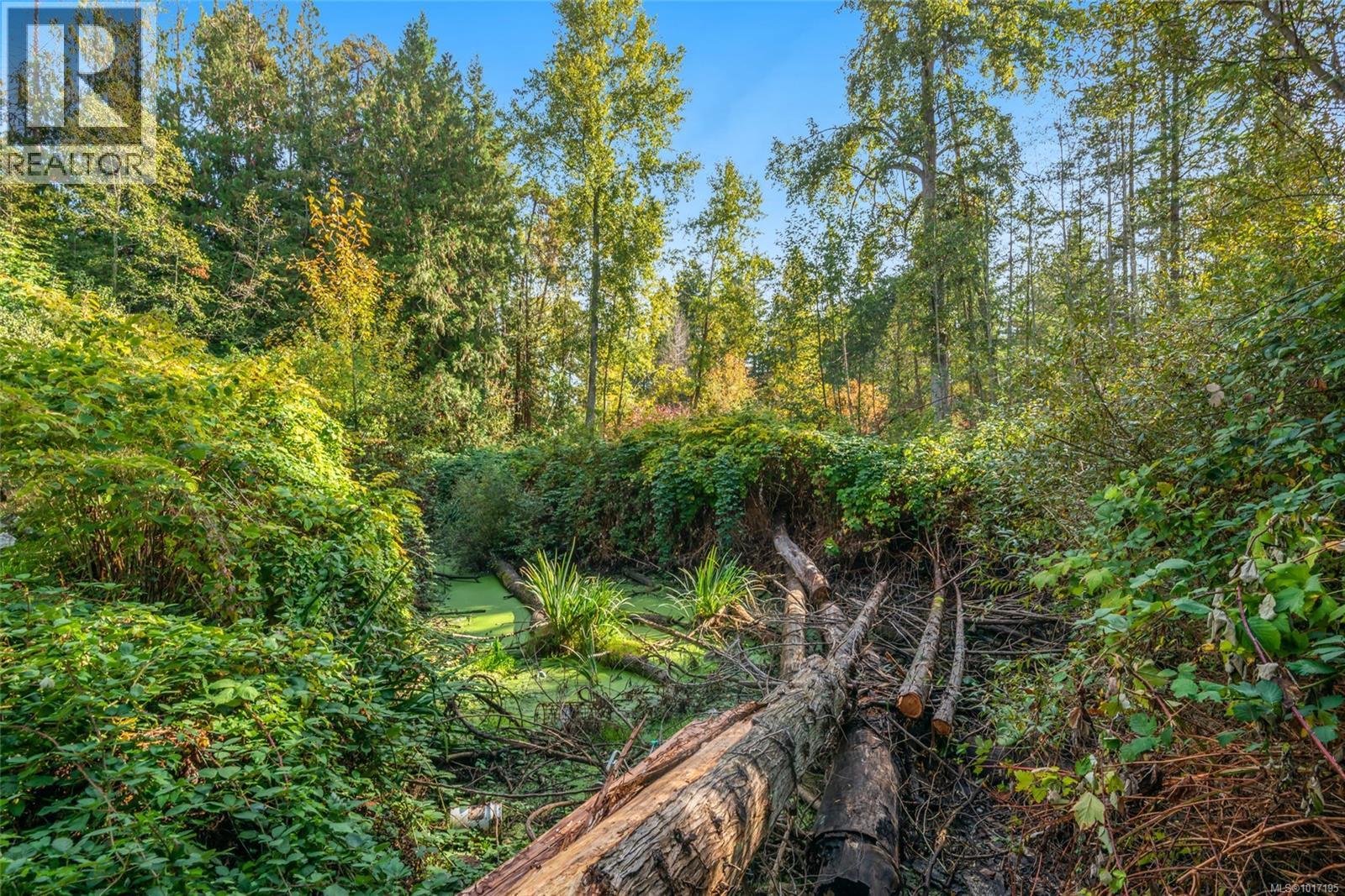400 Manse Rd, Parksville, British Columbia  V9Y 2B2 - Photo 17 - 1017195