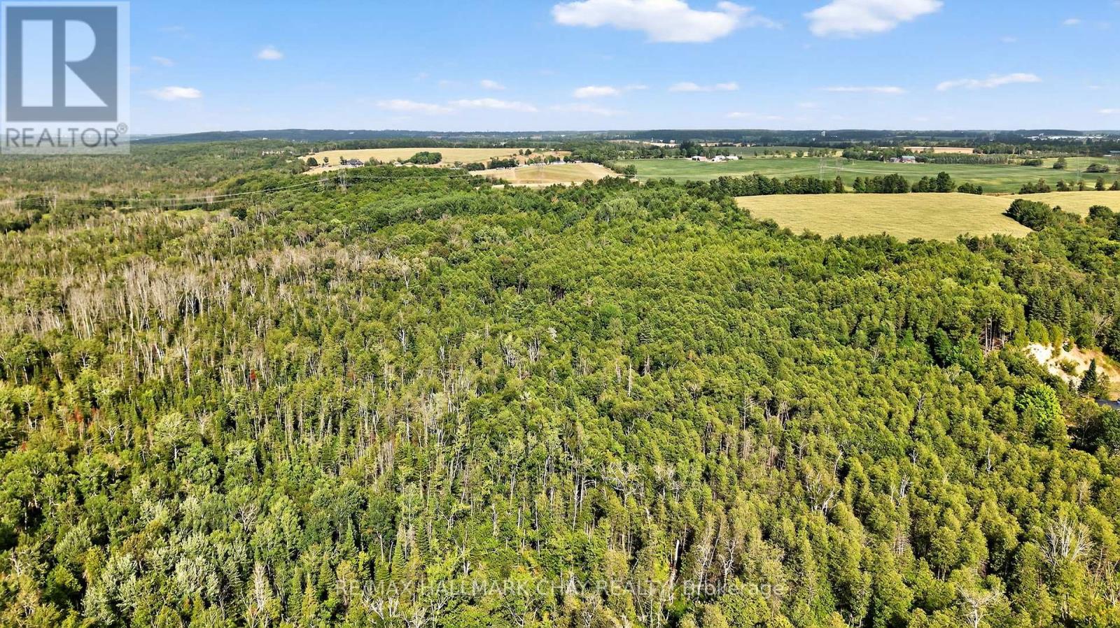 7950 8th Line, Essa, Ontario  L0M 1T0 - Photo 48 - N12461726
