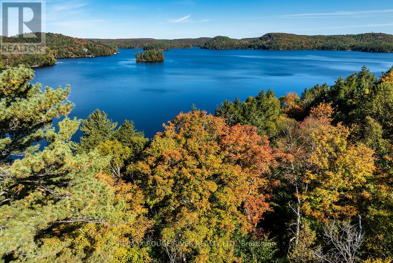 5031 Muskoka Road 117 Highway, Lake Of Bays, Ontario  P0A 1E0 - Photo 26 - X12461722