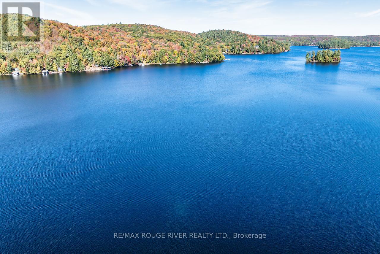 5031 Muskoka Road 117 Highway, Lake Of Bays, Ontario  P0A 1E0 - Photo 29 - X12461722