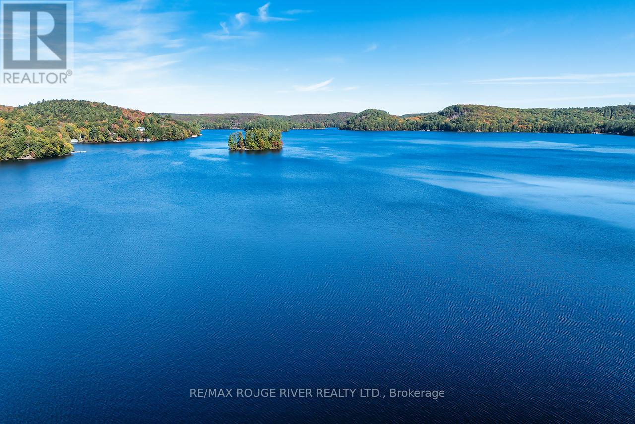 5031 Muskoka Road 117 Highway, Lake Of Bays, Ontario  P0A 1E0 - Photo 30 - X12461722