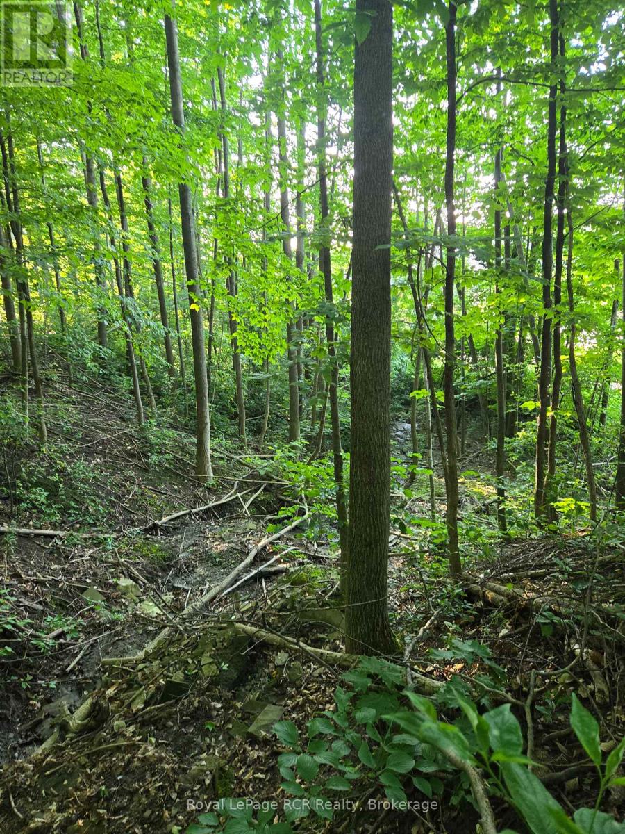 130 Old Highway 26 Highway, Meaford, Ontario  N4L 1W7 - Photo 2 - X12461821