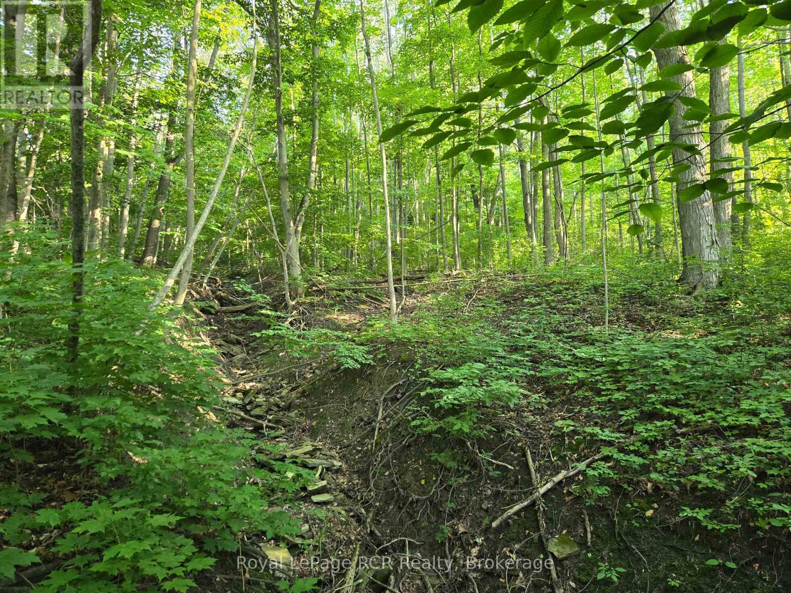 130 Old Highway 26 Highway, Meaford, Ontario  N4L 1W7 - Photo 3 - X12461821