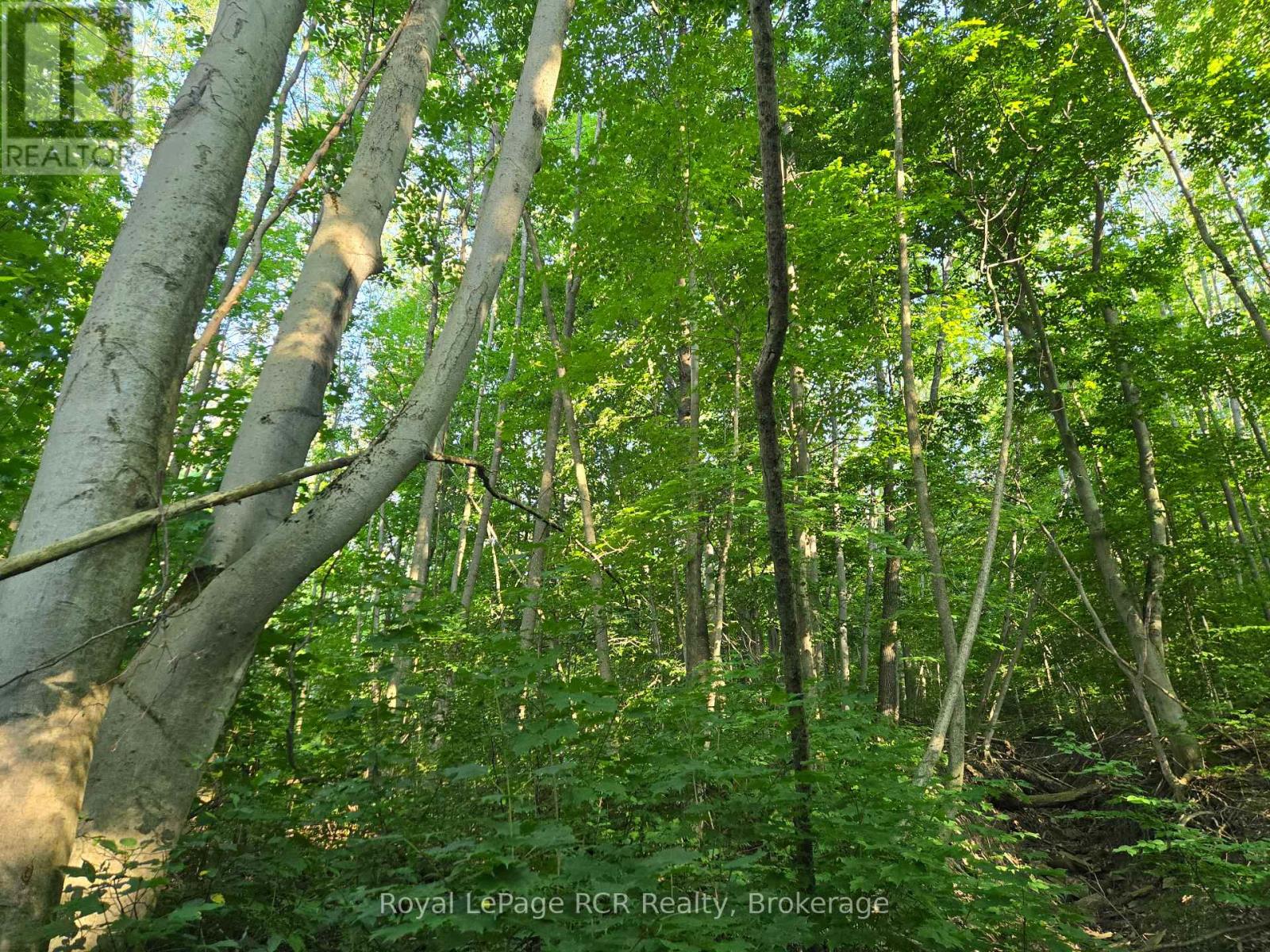 130 Old Highway 26 Highway, Meaford, Ontario  N4L 1W7 - Photo 4 - X12461821