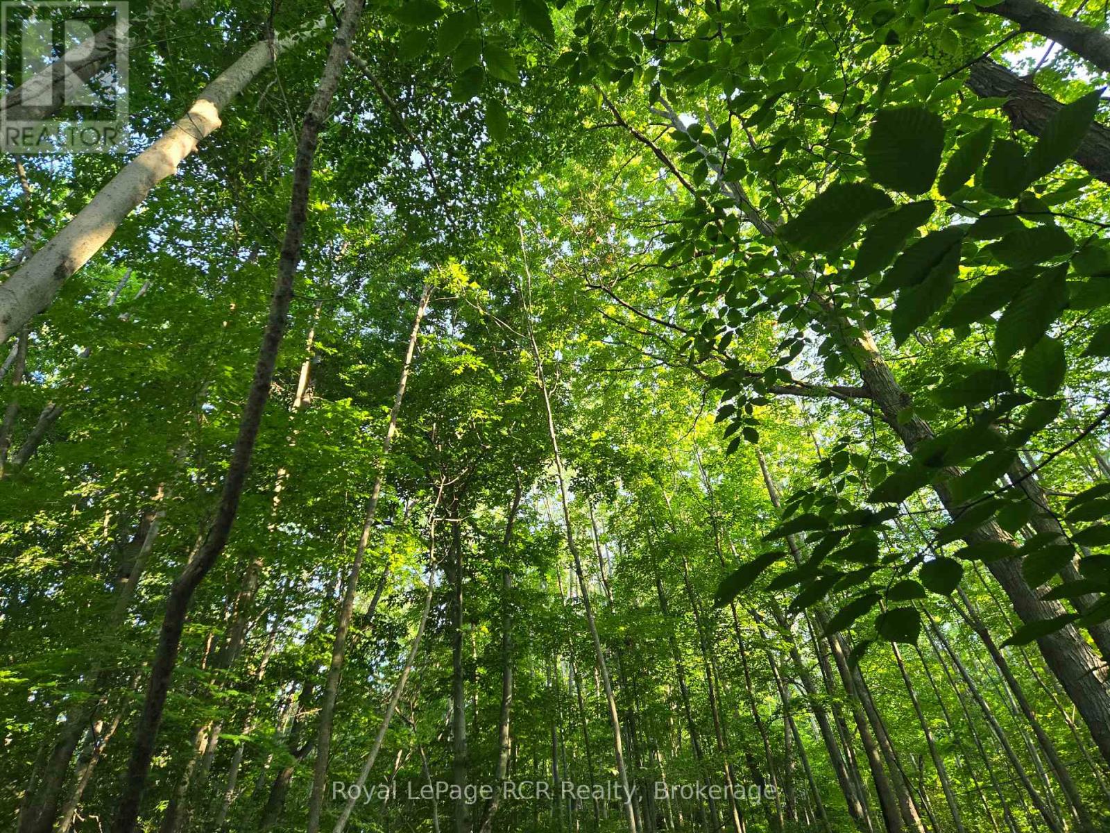 130 Old Highway 26 Highway, Meaford, Ontario  N4L 1W7 - Photo 6 - X12461821