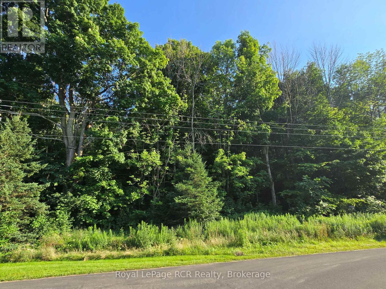 130 Old Highway 26 Highway, Meaford, Ontario  N4L 1W7 - Photo 9 - X12461821