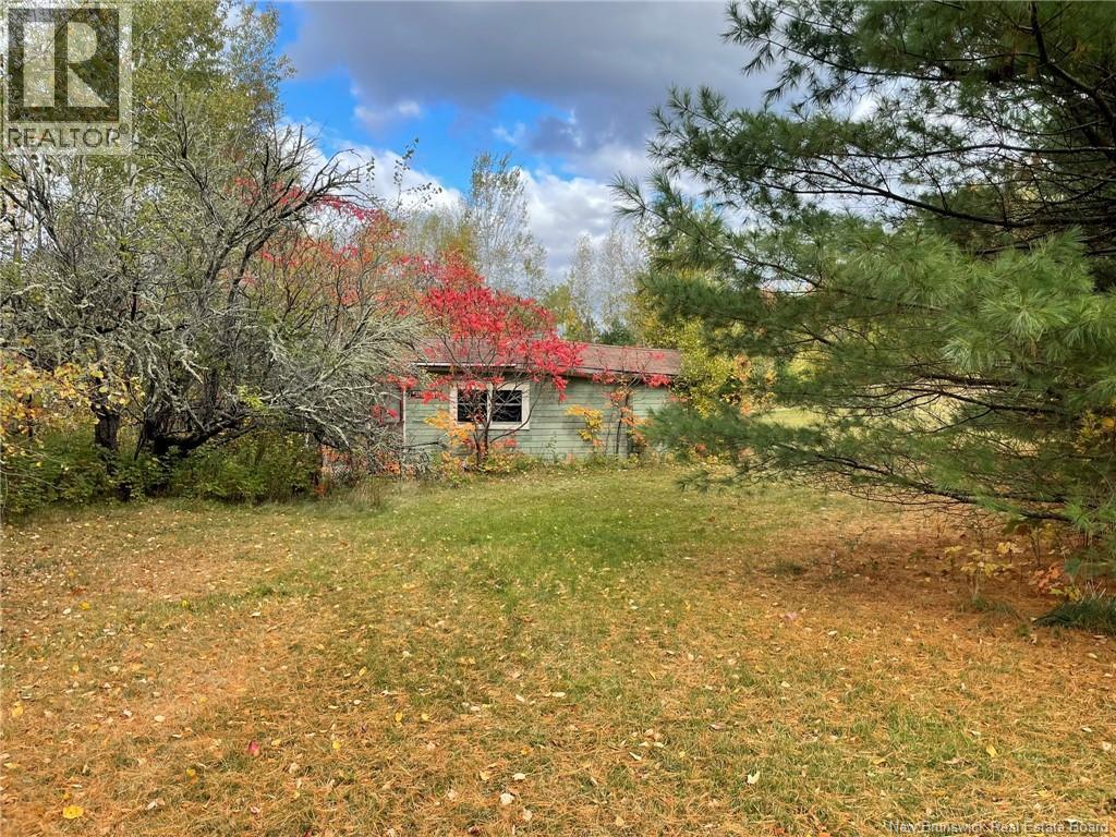 10 Campbell Lane, Cambridge-Narrows, New Brunswick  E4C 4S2 - Photo 31 - NB128455