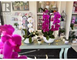 9 - 332 MAIN STREET N, Brampton, Ontario