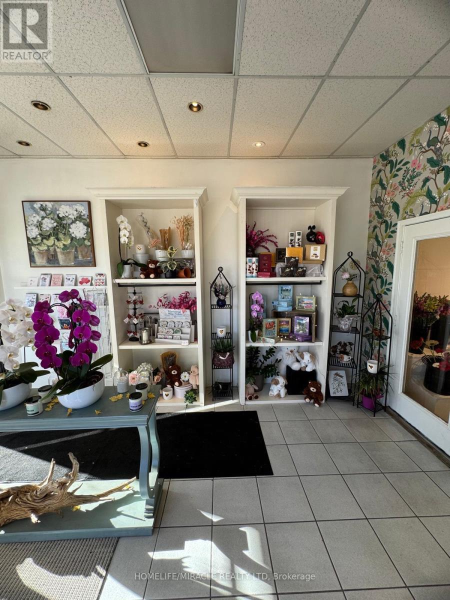 9 - 332 Main Street N, Brampton, Ontario  L6V 1P8 - Photo 6 - W12450722