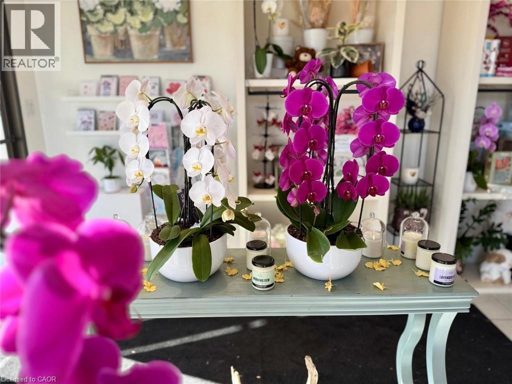 332 MAIN Street N Unit# #9, Brampton, Ontario