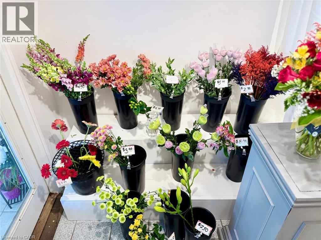 332 Main Street N Unit# #9, Brampton, Ontario  L6V 1P8 - Photo 13 - 40777389