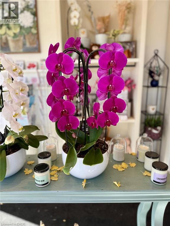 332 Main Street N Unit# #9, Brampton, Ontario  L6V 1P8 - Photo 9 - 40777389