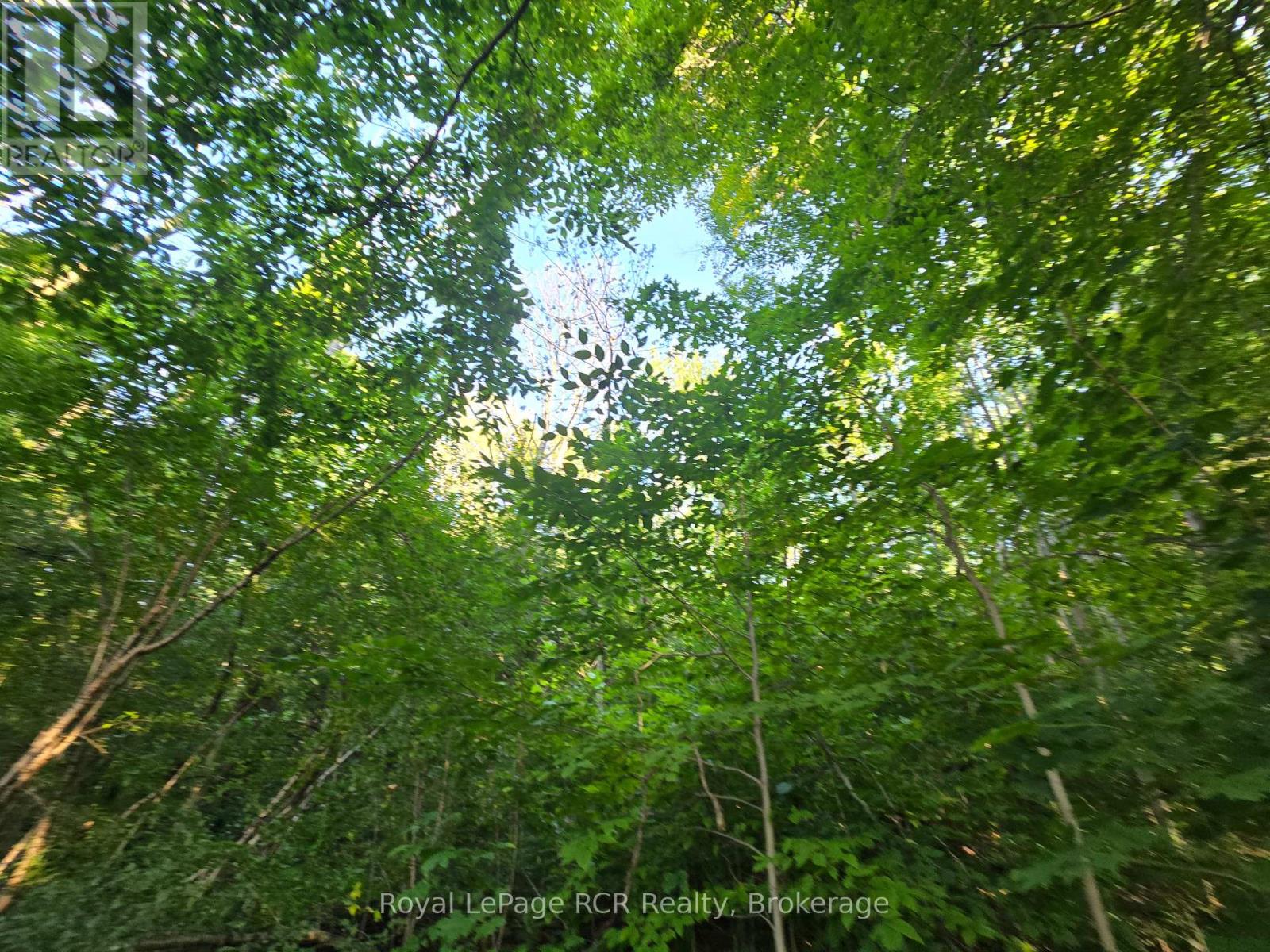 126 Old Highway 26 Highway, Meaford, Ontario  N4L 1W7 - Photo 2 - X12461899