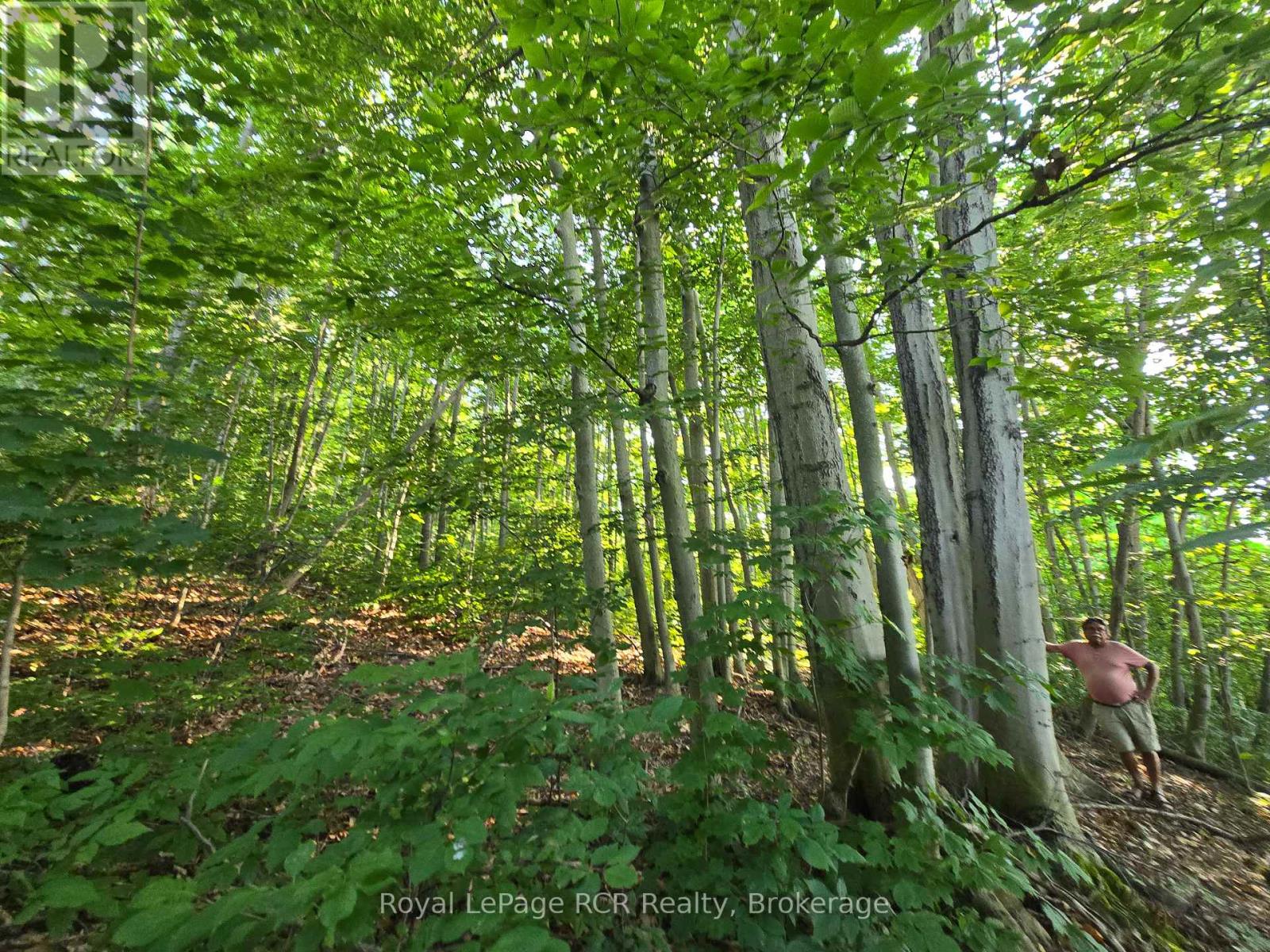 126 Old Highway 26 Highway, Meaford, Ontario  N4L 1W7 - Photo 3 - X12461899