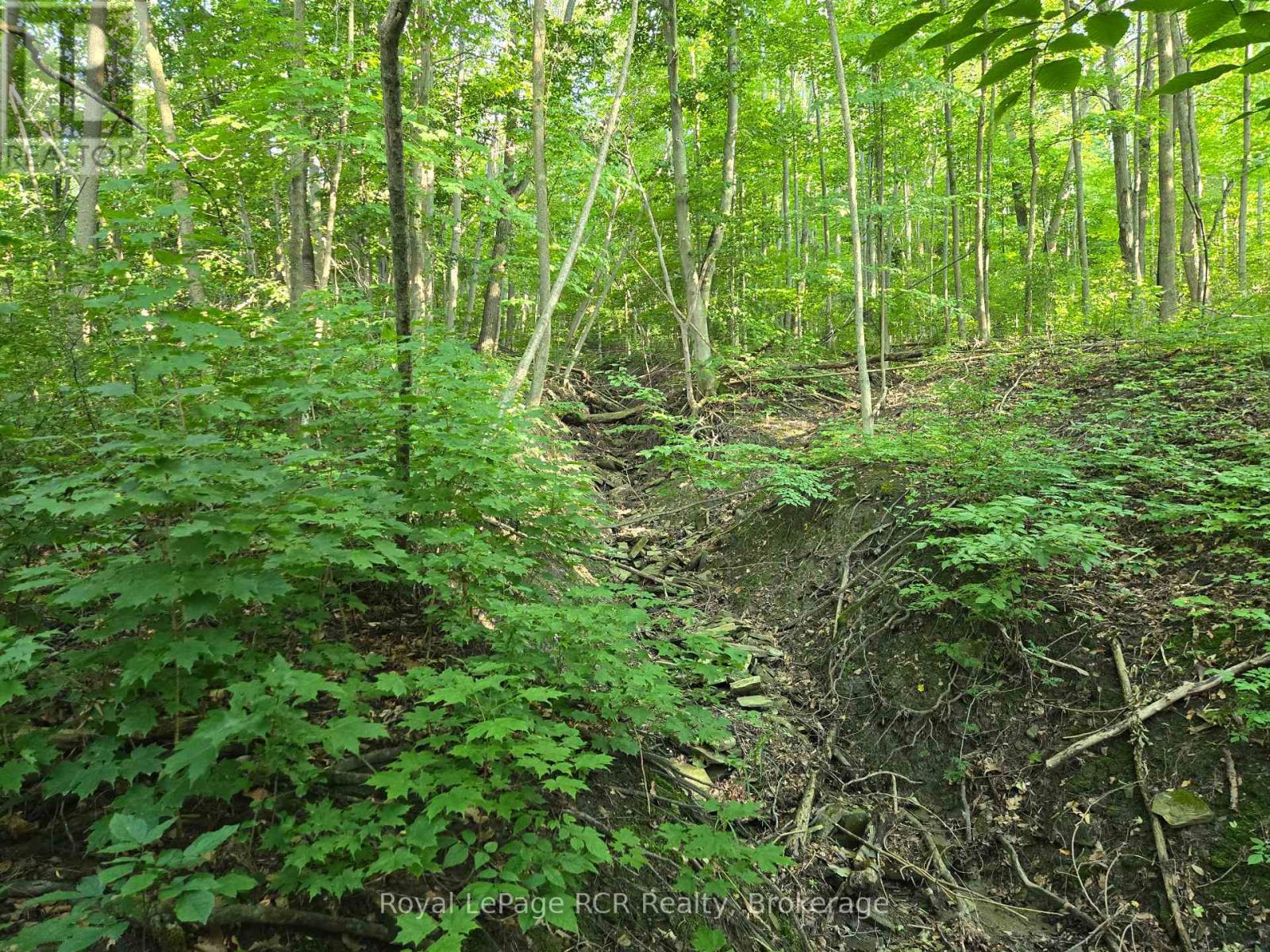 126 Old Highway 26 Highway, Meaford, Ontario  N4L 1W7 - Photo 4 - X12461899