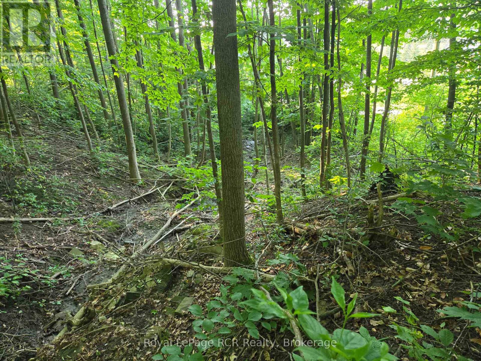 126 Old Highway 26 Highway, Meaford, Ontario  N4L 1W7 - Photo 5 - X12461899