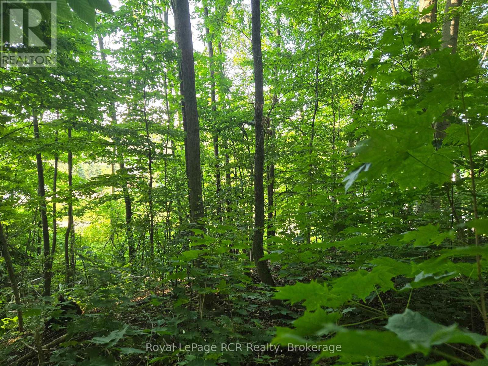 126 Old Highway 26 Highway, Meaford, Ontario  N4L 1W7 - Photo 8 - X12461899