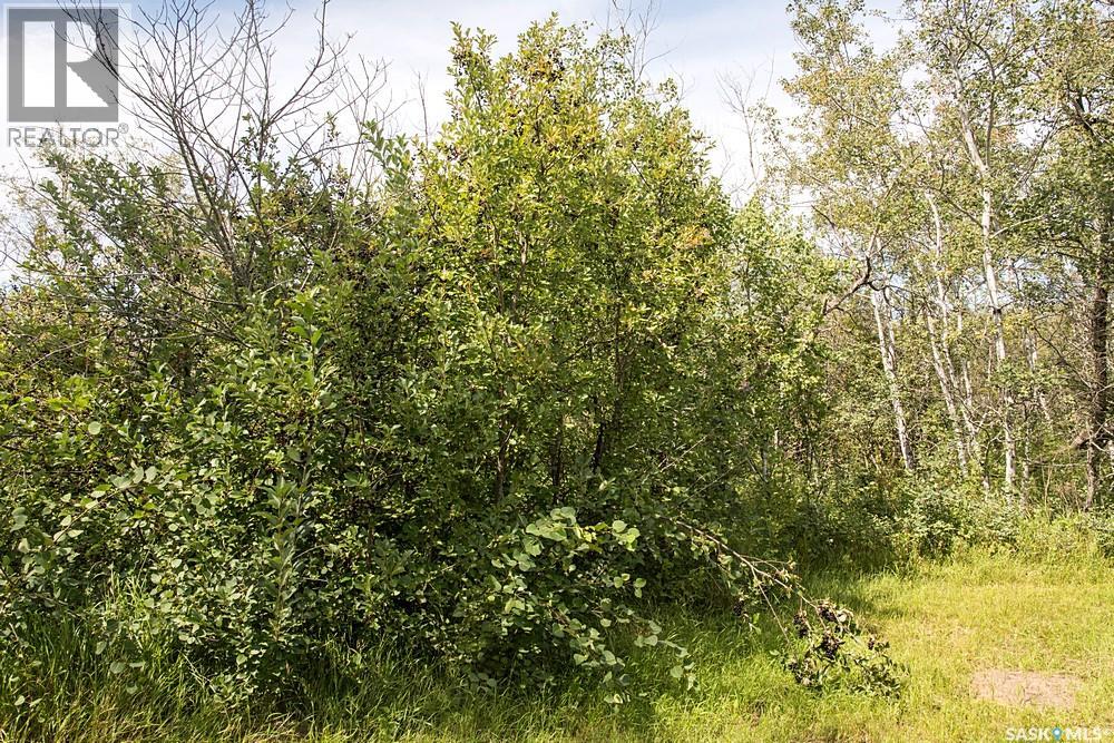 Kondra Acreage, Corman Park Rm No. 344, Saskatchewan  S7K 3J5 - Photo 27 - SK020762